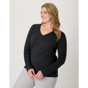 Hanes Women's Long Sleeve Cotton V-Neck T-Shirt - 1 of 4