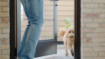 Bissell TurboClean PowerBrush Pet Upright Green Carpet Cleaner