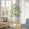 Coucheta 4/5/6/7ft Artificial Eucalyptus Tree in Pot, Large Faux Potted Plant with Realistic Trunk for Indoor Outdoor, Home Office Living Room Decor - 2 of 4