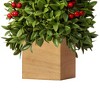 18" Unlit Boxwood Artificial Christmas Tree with Berries in Wood Pot - Haute Décor - image 2 of 3