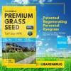 Barenbrug Turf Star RPR Grass Seed with Yellow Jacket Coating, 10lb - 2 of 4