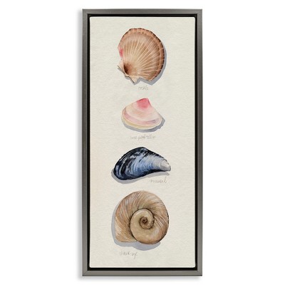Stupell Industries Traditional Nautical Sea Shells, 11" x 25"