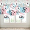 Big Dot of Happiness Baby Gender Reveal - Team Boy or Girl Party Hanging Decor - Party Decoration Swirls - Set of 40 - 3 of 4