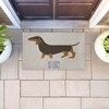 Stupell Industries So Long Dog Goodbye Printed Outdoor Imitation Sisal Door Mat, design by Lil' Rue - 4 of 4