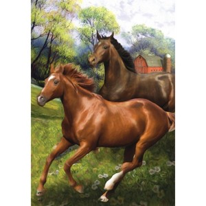 Briarwood Lane Summer House Flag 40x28 For Outdoor Galloping Horses House Flag Flag For Summer House Flag - 1 of 4