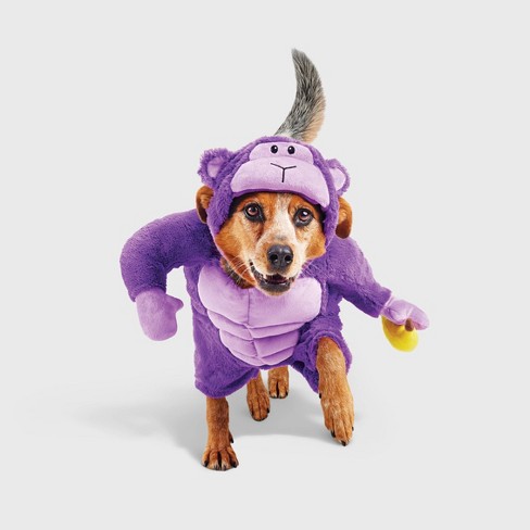 Halloween Gorilla Dog and Cat Frontal Costume with Banana Toy - Hyde & EEK! Boutique™ - image 1 of 4