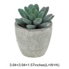 Unique Bargains Artificial Plants Mini Pulp with Graptopetalum Plastic Green 2.76"x2.76"x3.15" 1 Pc - 3 of 4