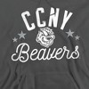 City College of New York Official Beavers Adult Pull-Over Hoodie - 2 of 4