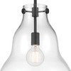 Designers Fountain Lakeview 1 - Light Pendant in  Matte Black - 4 of 4