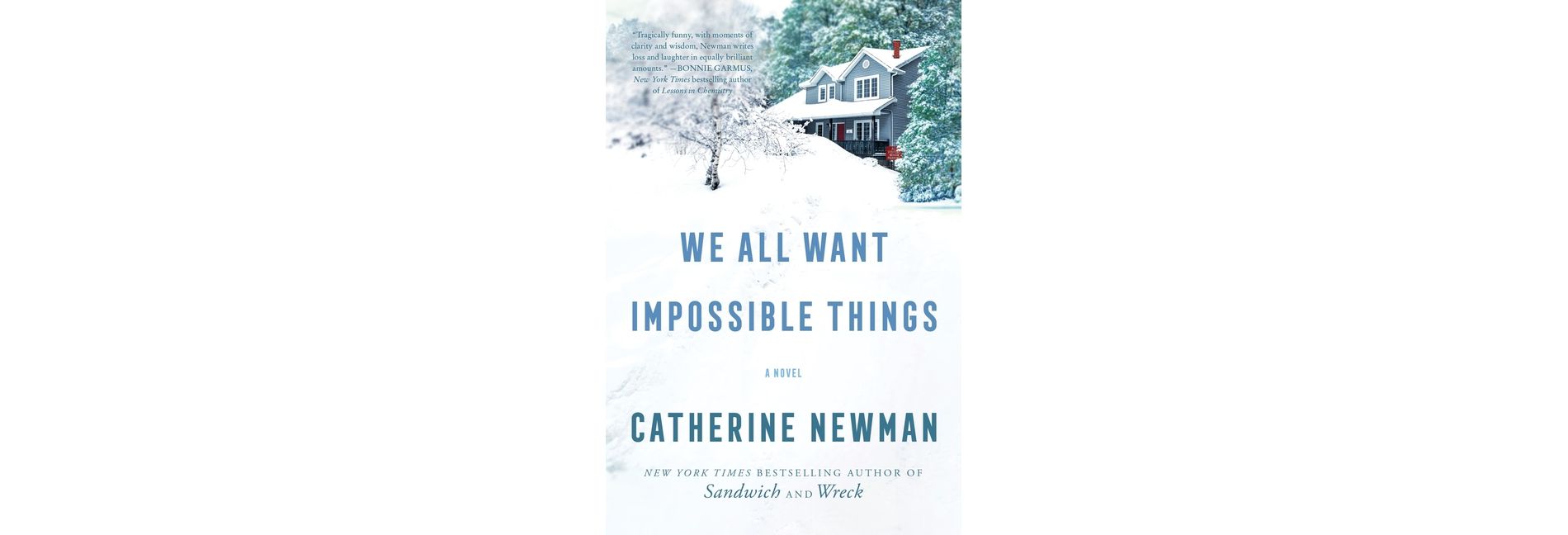 We All Want Impossible Things - by  Catherine Newman (Paperback)