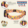 Country Brook Petz Deluxe Dog Collar - Made in The U.S.A. - Tasty Collection - 4 of 4