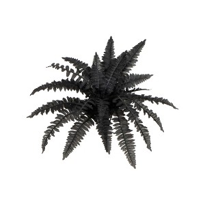 Nearly Natural 19-in Artificial Halloween Black Boston Fern - Set of 6 - 1 of 1