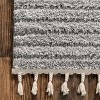 Nuloom Risette Geometric Shag Tassel Indoor Area Rug - 3 of 4