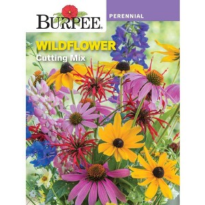 Burpee Wildflower Cutting Mix Flower Seeds - 1 of 2