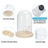 Unique Bargains Wooden Base LED Fairy Light Decor Glass Bell Jar Display Case - 3 of 4