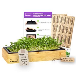 Hamama Microgreens Growing Kit, Sprouting Kit, Non-GMO Microgreen Seeds, Just Add Water, Includes Bamboo Frame, Standard Tray - 1 of 4