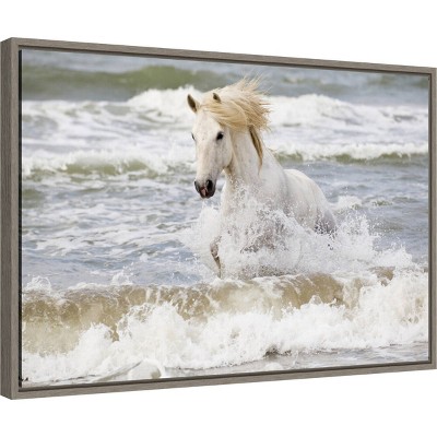 27" x 19" White Horse in Surf Canvas Print