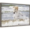 23"x16" Camargue Horse in the Surf by Ellen Goff Danita Delimont - Amanti Art: Modern Lithograph, Oceanic Animal - 2 of 4