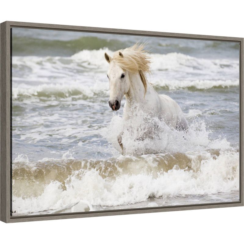 23&#34; x 16&#34; Camargue Horse in the Surf by Ellen Goff Danita Delimont Framed Canvas Wall Art - Amanti Art, 3 of 12