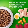 IAMS Proactive Health Chicken Flavor Large Breed Puppy Dry Dog Food - image 3 of 4