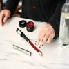 Alchemi by Viski Spirit Infusion Kit for Liquor, Gin, Vodka, Whiskey, Rum, Tequila, Customize Craft Cocktails, Stainless Steel, Set of 1, Silver - 3 of 4