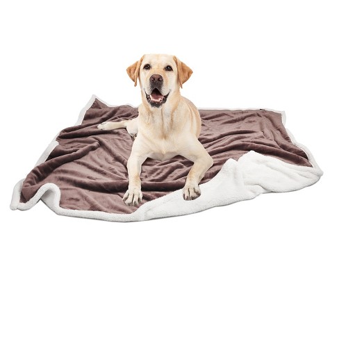 Dog fleece blankets discount throws