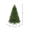 Vickerman Tiffany Fraser Fir Artificial Christmas Tree - 3 of 4
