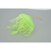 Collectible Wildlife Gifts | Jellyfish, Sea Jelly, Green, Gelatinous zooplankton, Rubber, Jelly fish, Design, Model,  Gift,    3 1/2"     F3385 B106 - 4 of 4