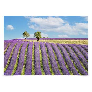 Americanflat Modern Wall Art Room Decor - Provence by Manjik Pictures