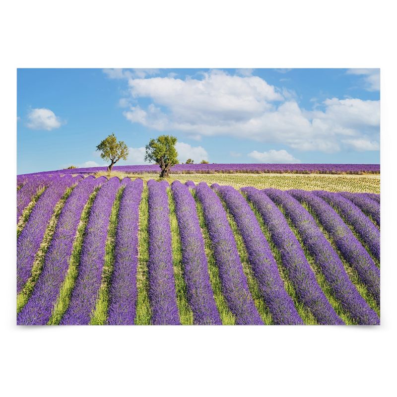 Americanflat Modern Wall Art Room Decor - Provence by Manjik Pictures, 1 of 7