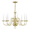 Livex Lighting Williamsburgh 8 - Light Chandelier in  Polished Brass - 4 of 4