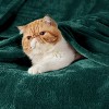 Bedsure Flannel Blanket – Solid Color Plush Throw, Ultra Soft and Fuzzy, 300GSM Lightweight Cozy Blanket for Bed or Sofa - 2 of 4