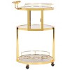 Rio 3 Tier Round Bar Cart - BCT8002 - Safavieh - 4 of 4