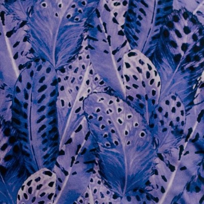 purple feathers