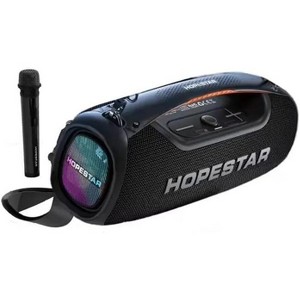 Worryfree Gadgets 100W Portable Speaker with Handle - 1 of 4
