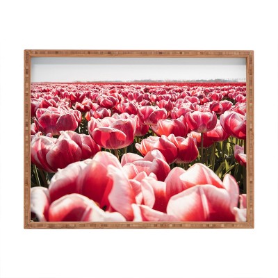 Henrike Schenk - Travel Photography Tulip Field In Holland Floral Rectangular Tray - Deny Designs