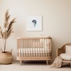Baby Humpback Whale Framed Museum Quality 12" x 12" Art Print by Ramus & Co - 3 of 4