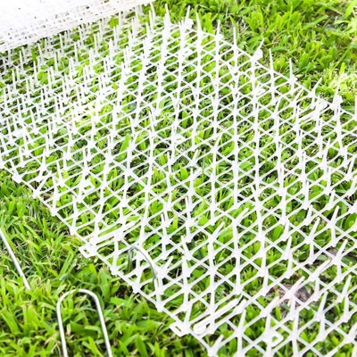 White Plastic Pet Deterrent Mat for Cats and Dogs, 78 x 11 in