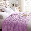 Inhand Fleece Throw Blanket for Couch Sofa or Bed, 50" x 60" Soft Fuzzy Plush Blanket, Luxury Flannel Blanket, Super Cozy and Comfy for All Seasons - 2 of 4