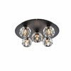 Elegant Lighting Graham 5 - Light Flush Mount in  Black - 4 of 4