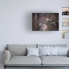 Trademark Fine Art Fabien BRAVIN  Le point de suspension Canvas Wall Art - 2 of 4