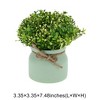 Unique Bargains Artificial Plants Orchid Bean Mini Plastic 3.35"x3.35"x7.48" 1 Pc - 3 of 4