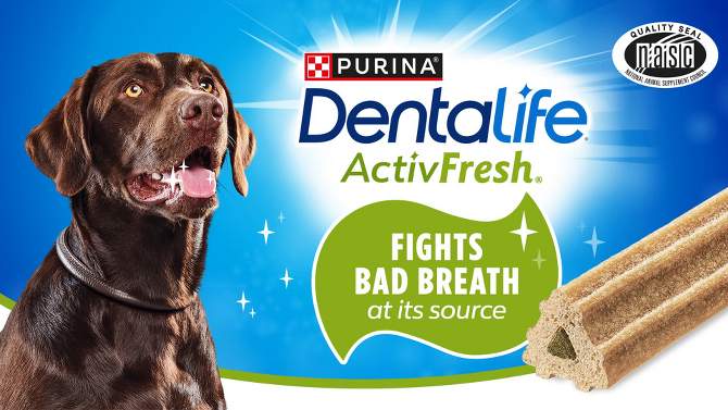 Purina Dentalife ActivFresh Chicken Large Chewy Dog Treats, 2 of 9, play video
