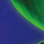 clear push pins bundle