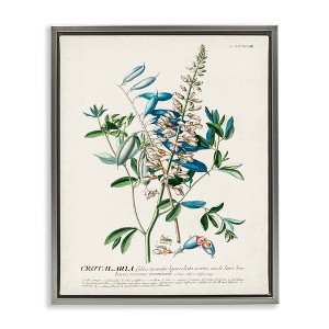 Stupell Industries Flowers And Leaves Vintage Design Floating Frame Canvas Art - 1 of 4
