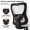 PAGED Adjustable Height Office Chair, Modern Computer Chair with Lumbar Support and Headrest, High Back Desk Chair for Office - 3 of 4