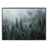 Kate & Laurel All Things Decor Sylvie Evergreen Dream 2 Framed Metallic Canvas Wall Art by Emiko and Mark Franzen of F2Images - 2 of 4