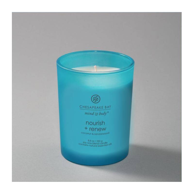 Frosted Glass Nourish + Renew Lidded Jar Candle Light Blue - Mind & Body by Chesapeake Bay Candle, 4 of 9