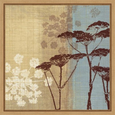Amanti Art Silhouette in the Breeze I (Queen Anne's Lace Flower) by Tandi Venter Canvas Wall Art Print Framed 16 x 16-in.