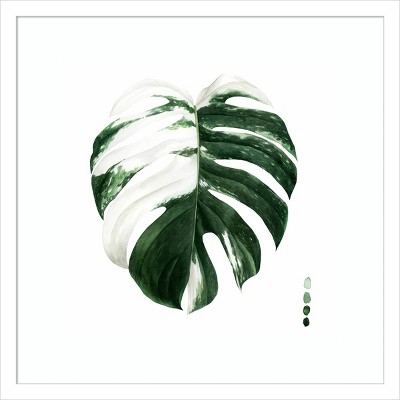 19" x 19" Variegated Monstera II by Grace Popp Framed Wall Art Print - Amanti Art